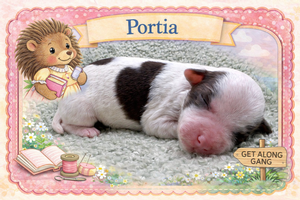 Portia